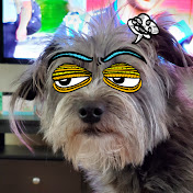 Profile Picture of Chris Randazzo (@chrisrandazzo8657) on Youtube