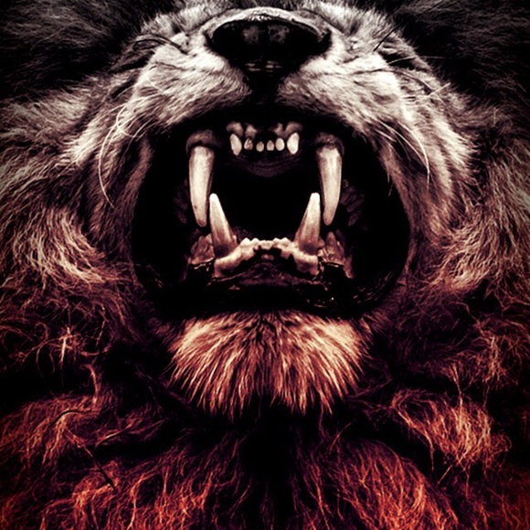 Profile Picture of Levi Duffy (@ld498) on Poshmark