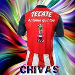 Profile Picture of Antonio Quintos (@quintos_antonio) on Instagram