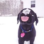 Benjamin Mason - Instagram Profile Picture of Benjamin Mason (@benjemin2018) on Instagram