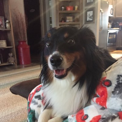 Profile Picture of The Real Corn Pop (@markmullins1976) on Twitter