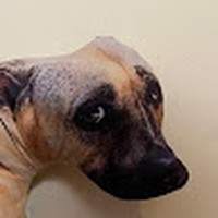 Profile Picture of Jonathan Alexander Saez Recabarren (@jonathan-alexander-saez-recabarren) on Quora