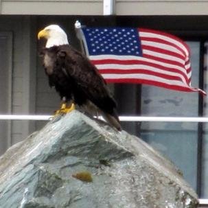 Profile Picture of Joe Henley (@joehenley11) on Twitter