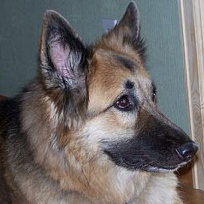 Profile Picture of Mark Plumb (@RkyMtnMark) on Twitter