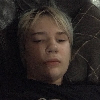 Profile Picture of Daniel Spitzer (@DanielSpitzer11) on Twitter