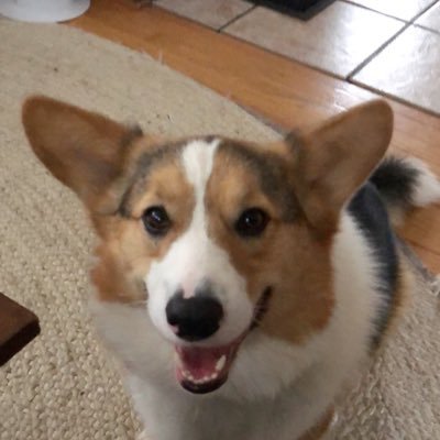 Profile Picture of Leigh Powers (@leighpow14) on Twitter