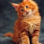 Profile Picture of Georgette Bouchu (@georgette.bouchu) on Facebook