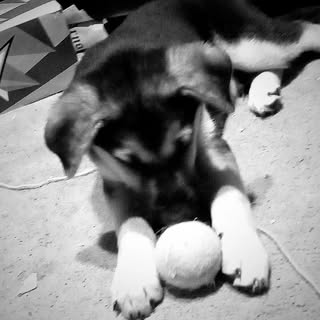 Profile Picture of Keith Hockley (@hockley_keith) on Instagram