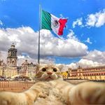 Profile Picture of 🇲🇽/🇺🇸#SosVenezuela 🇻🇪 🙏🏻 (@pablo_ignacio_m.r) on Instagram