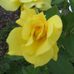 Profile Picture of Myrna Evans (@myrna.evans.1) on Facebook