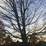 dylan mccain - Instagram Profile Picture of dylan mccain (@dylan.mccain) on Instagram