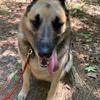 Profile Picture of Jackson Mozingo (@@patton_the_gsd) on Tiktok