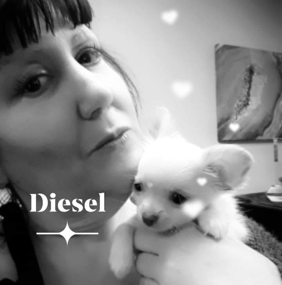 Profile Picture of Kristin Keros (@vblckwdowv) on Poshmark