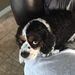 Profile Picture of Mark Roberge (@markrobergesd) on Pinterest