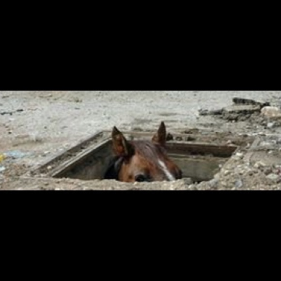 Profile Picture of Edward Picazo (@gamingalex) on Poshmark