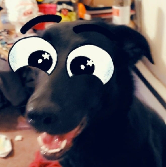 Profile Picture of Christopher Sherman (@euchertank) on Poshmark