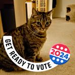 Profile Picture of April Gori Lindenmuth (@april.lindenmuth.77) on Facebook