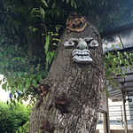 Profile Picture of Etsuko (@e.toda) on Flickr