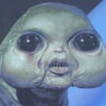 Profile Picture of Toby Hodges (@toby_hodges) on Instagram