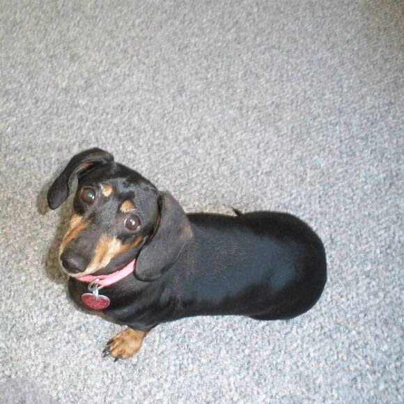 Profile Picture of Marva Juneau (@marvajuneau) on Poshmark