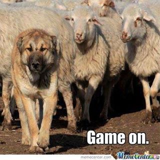 Profile Picture of Dwayne Sweet (@dwayne.sweet.1) on Facebook