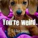 Profile Picture of Ron Maestas (@ronrmaestas) on Pinterest