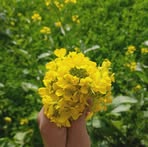 Profile Picture of Jaclyn J. Luther (@Jaclyn-J-Luther) on Facebook