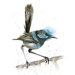 Noah Robbins - Flickr Profile Picture of Noah Robbins (@noahjrobbins) on Flickr