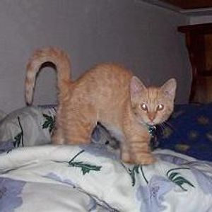 Profile Picture of Jon Rentmeester (@black_jon) on Myspace