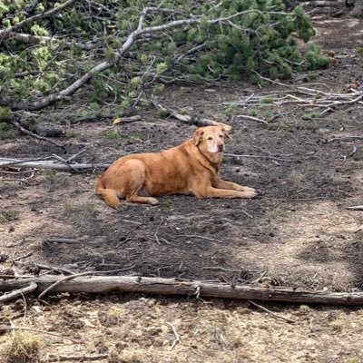 Profile Picture of Dan Galligan (@DanGalligan5) on Twitter