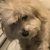 Profile Picture of Jaclyn Choi (@jaclynchoi7515) on Youtube