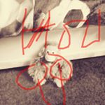 Profile Picture of scott hudson (@scotthudson8667) on Instagram