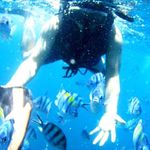 Profile Picture of Chandra Leonard XV (@chandra_leonard) on Instagram