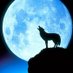 Profile Picture of Felix Carrasquillo (@nunies112051) on Twitter