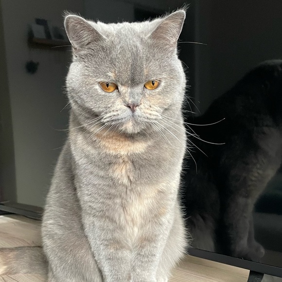 Profile Picture of Emily Ricketson (@emilyricketson) on Poshmark