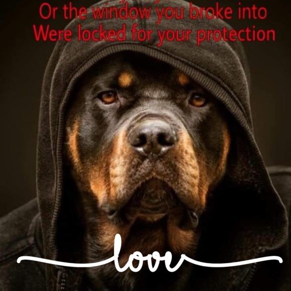 Profile Picture of John Graves (@johnmark69) on Poshmark