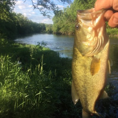 Profile Picture of Timothy Gorey (@GoreyTimothy) on Twitter