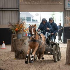 Profile Picture of richardvandommele1 (@richardvandommele1) on Tiktok