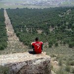 Profile Picture of Sïd ÂDâm Iglêsîas (@sidiglesias) on Instagram