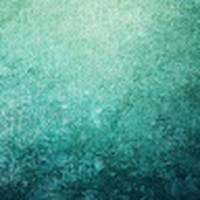 Profile Picture of Triniti Jenkins (@triniti-jenkins-1) on Quora