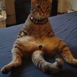 Profile Picture of Inez Jacobs (@inez.jacobs) on Instagram