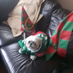 Profile Picture of Ann Maloney (@ann.maloney.10420) on Instagram