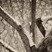 Profile Picture of Joy Pritchett (@Joy-Pritchett) on Facebook