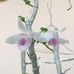 Profile Picture of Nguyễn Hữu Viện (@vien.nguyenhuu.775) on Facebook