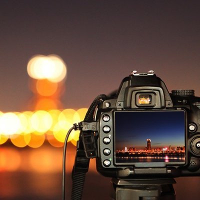 Profile Picture of BergyBird Photography (@JoshuaBergmann5) on Twitter