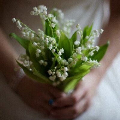 Profile Picture of Kim Soo Nagle (@pearlschmerl) on Twitter