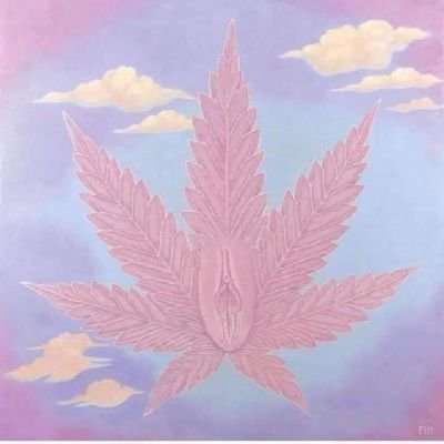 Profile Picture of Byron Luna (@ByronLu42901445) on Twitter