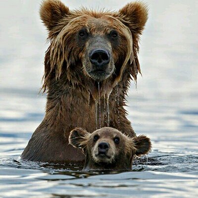 Profile Picture of Joe Hinderliter (@jhinderl) on Twitter