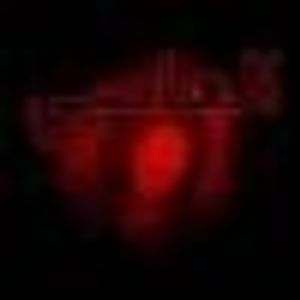 Profile Picture of Tasnim Hasan (@152931038) on Myspace