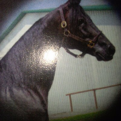 Profile Picture of Mark Gingerich (@MarkGingerich5) on Twitter